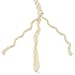 Macrame Natural Cotton Rope (4 MM x 80 M) for DIY Handmade Crafts Plant Hangers Hanging Decorations Boho Wall