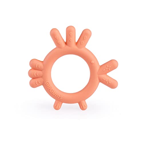 dumel Gryzak Kurczak Brzoskwiniowy