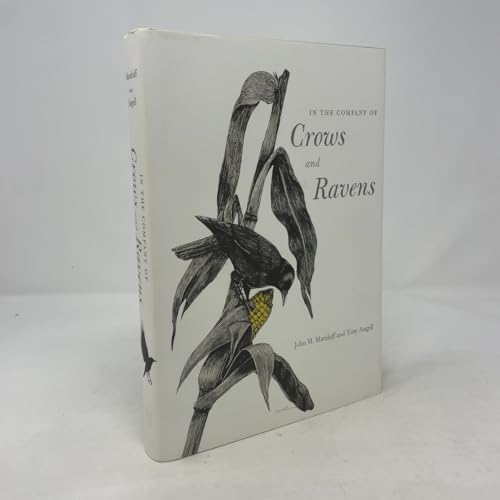 In the Company of Crows and Ravens