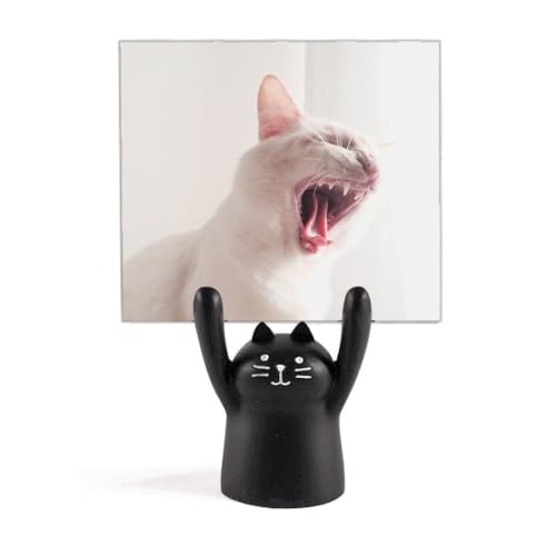 ̔̌Lʐ^ J[gD[LX^h^z_[