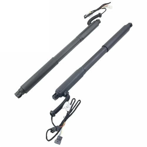 Coffre ressorts support tige pour BMW X5 E70 2007-2013 | Vérin 51247332695 51247332696