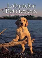 Labrador Retrievers: An Owner's Companion