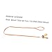 BESPORTBLE Pet Supplies Pulling Rope for Hamster Chinchilla Turtle Lizard Walking Leash for Daily Use