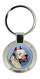  Giftshop UK Américain Staffordshire Terrier Porte-Clés