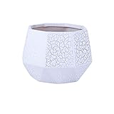 Plants Flower Pots Outdoor Indoor Garden Planters Ceramic Plant Containers with Drain Hole Modern Flower Pot for All House Plants Flowers Herbs Gardening Pot (Size : Brass)