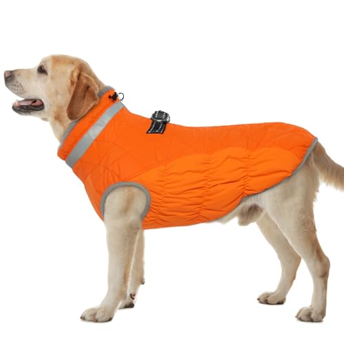Hjumarayan Hundemantel für Kleine Mittelgroße Grosse Hunde, Hundemantel Winter Warme Wintermantel Hund Hundejacke Wasserdicht Hunde Mantel Gefüttert, Outdoor Hundemantel Labrador (Orange XL)
