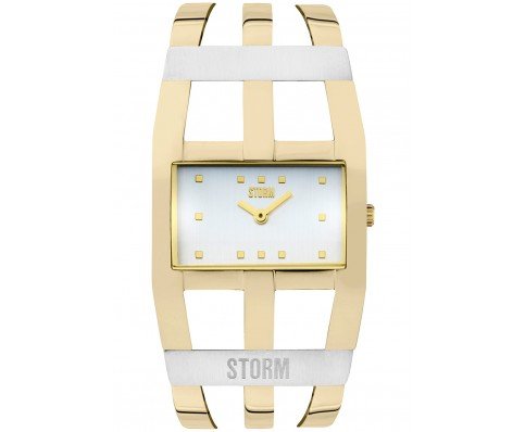 Montre STORM 47342/GD l'élégance intemporelle du boîtier doré