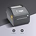 Zebra ZD421 ZD4A042-D01E00EZ Direct Thermal Desktop Printer 203 dpi Print Width 4-inch Wired USB and Ethernet Connectivity, No Thermal Ribbon Required