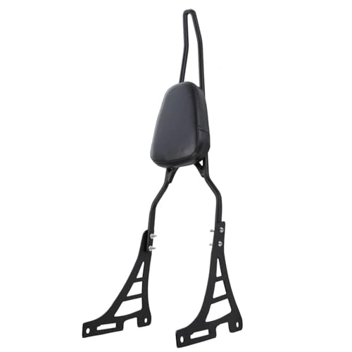 Sissy bar pour Harley Sportster XL883C et XL1200R dossier de passager moto 2004-2020