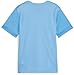 PUMA - Juniors Teamgoal Matchday Jersey, Color Team Light Blue/White/Clear Sea, Size: X-Small
