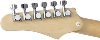 Amazon | PLAYTECH (プレイテック) エレキギター テレキャスタイプ