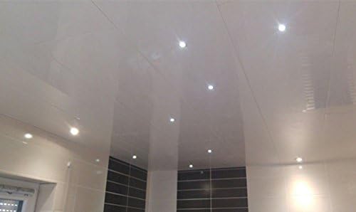 10x LED Mini Small spotlights Fixtures/Recessed Spotlight Ceiling Downlight Recessed lamps for CREE LED 1W Cool White 6000K + Driver