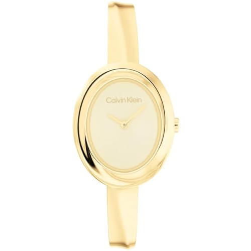 Calvin Klein Montre À Mouvement Quartz Deux Aiguilles pour Femme