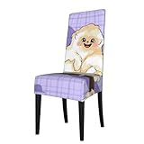 Style d'impression complète : dispose d'une impression sur toute la surface qui ajoute une touche élégante à votre salle à manger. Le design vibrant couvre rapidement les chaises anciennes ou usées, leur donnant un aspect frais et actualisé avec un minimum d'effort.