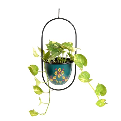 Image of AAKRITI ART CREATIONS Metal Hanging Planter | Handpainted Planter, Modern Art, Blue Glossy Finish | Outdoor & Indoor Home Decor Items | Room Decoration Artifacts, Flower Pots for Living Room