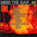 Vol. 23-Mind the Gap