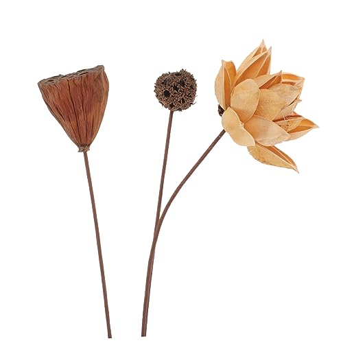 Arreglo Floral Centro de Mesa Flor de Loto Seco miniatura 6