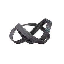 Continental CTAM V-Ribbed Belt