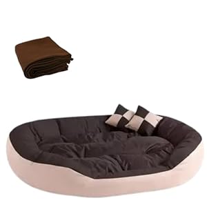 DRILLY Washable Dog/cat Bed with Blanket for Small | Medium | Large |Extra Large | XXL | XXXL | 4XL Size Dogs | Cats | Puppy | pet | Rabbit | Persian cat | Indoor cat,Polyester (S)