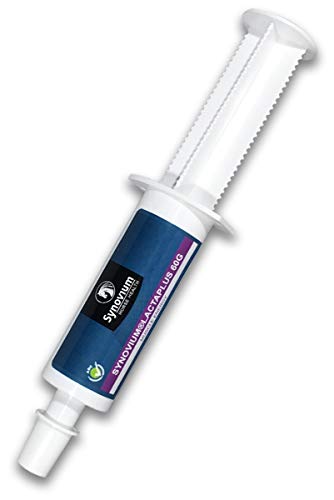 Éliminez les raideurs après l'effort avec Lactaplus Paste 60 ML - 3
