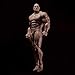 RoofWorld 1/12 Scale Male Action Figure Strong Muscle Joint Body 6 inch Super Flexible Comic Soldier Action Figure Body Doll Collection