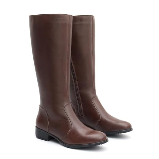 Bota Feminina Cano Alto Longo em Couro Montaria Lisa (Marrom, BR, Adulto, Numérico, 40)