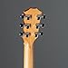 Sapele GS Mini by Taylor
