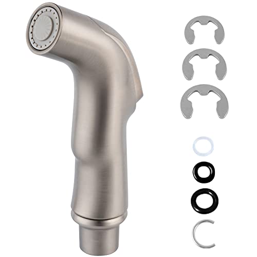 Top 10 Best Kitchen Sink Sprayer Replacement Reviews & Buying Guide