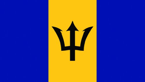 SeaSense Barbados Boat Flag