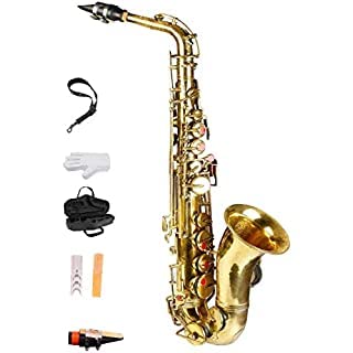 SM'SAI MUSICALS Saxophone Mouthpiece with Gloves, 2 Reeds, Belt and Hard Case
