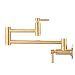 Fonveth Gold Pot Filler Faucet Folding Stretchable Double Joint Swing Arm Wall Mount Kitchen Faucet,Single Hole Two Handle Kitchen Sink Faucet