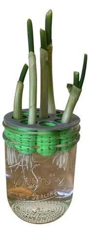 Green Onion Farm