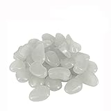 meeresaquarium zella mehlis thüringen ❤100% nagelneu und hohe Qualität. 100 Stück in 1 Tasche aus künstlichen Kieselsteinen. Pebble Stil, ideal für die Dekoration.
