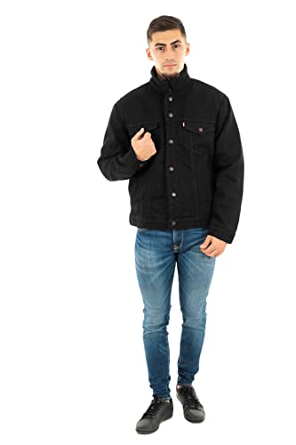Levi's Type 3 Sherpa Trucker Veste Homme, Berk, S