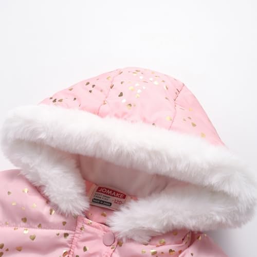 Little Girls Winter Dress Coat Fleece Outwear Puffer Jackets Kids Hooded Clothes3