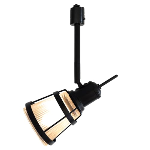 Ampoule _Ng[p X|bgCg E17 V[OCg dʔ ubN _ KX Nqut mNg