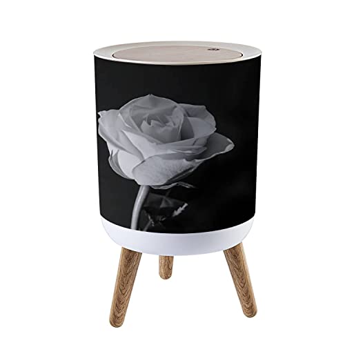 ZNeBAE^gD[tB@gt\[X@500g