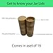 16 Pcs Bamboo Spice Jar Lids Fits Square Containers Seasoning Bottle Sealing Lids Fit Only 4 oz and 8 oz (Bamboo)