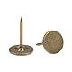 QUARKZMAN 30 Stück Polsternägel, 11 mm x 17 mm, flacher Kopf, dekorative Reißzwecken, Reißnägel für Möbel, Sofa Kopfteile, Bronze