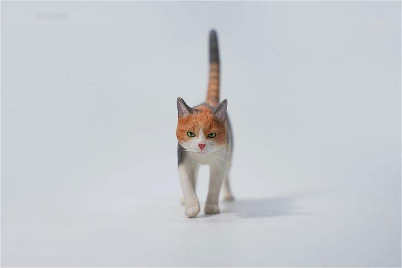 ねこページ ねこ no.126【表紙：JO1 木全翔也 別冊付録：カレンダー