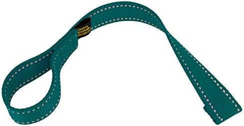 Country Brook Design - 1 Inch Winch Hook Pull Strap with Reflective Nylon - Teal