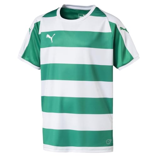 PUMA LIGA Jersey Hooped JR t-shirt sport football Pepper Green Puma White M enfant