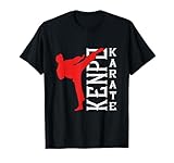 Kenpo Karate Kempo Martial Arts Combat Abilities