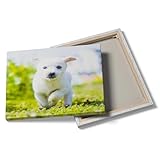 A playful little dog Customized canvas printing photos Customize canvas to print your own photos Suitable for home decoration gifts and souvenirs hanging at any time -20x30
