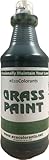 EcoColorants Green Grass Paint 32 oz(Quart)-Eco-Friendly , Made in the USA, Lawn Colorant, Turf Paint, Dye, Covers up to 1,000 square feet, Spray, (GGP1Q)