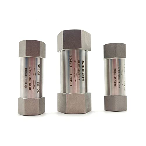 Vanne unidirectionnelle 3/4 pouce pour étanchéité absolue inox 304
