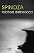 Spinoza (The Routledge Philosophers)