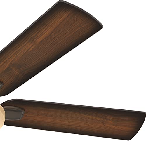 Hunter Matheston Indoor / Outdoor Ceiling Fan With Light And Pull Chain Control #TOP5