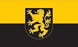 Fahnengröße: 90 x 150 cm Fahne/Flagge Auerbach Vogtland 90 x 150 cm