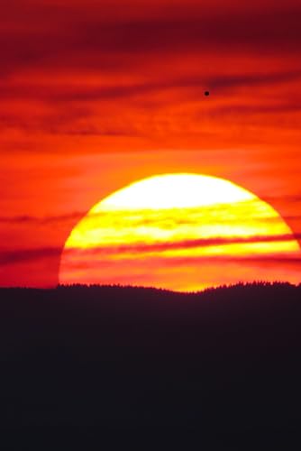 .: Ready to be filled with Memories and Thoughts, 6x9 150 Pages, 130 LIned and 20 Blank for Notes and Photos